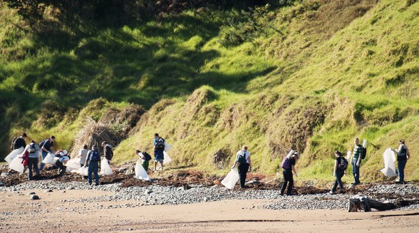 Sustainable Coastlines volunteers at work